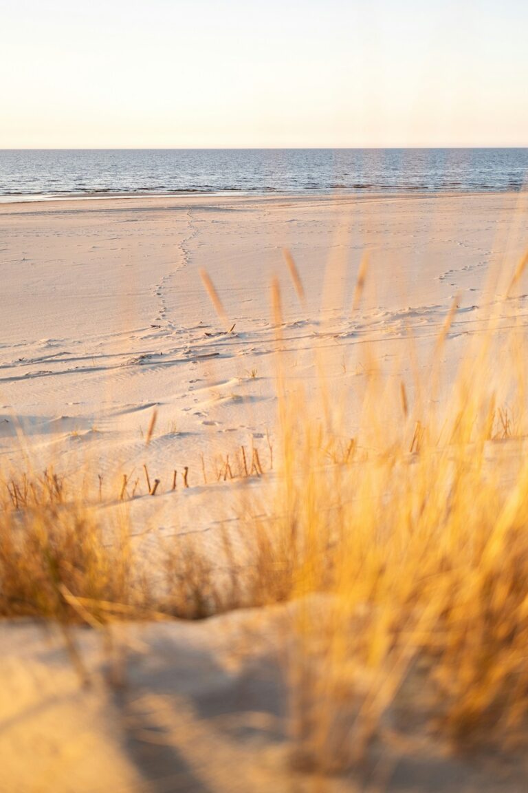 Plage de sable et coucher de soleil