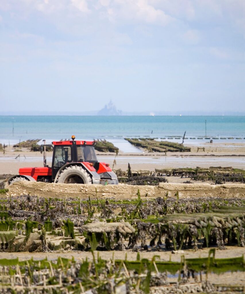 Ferme marine à Cancale