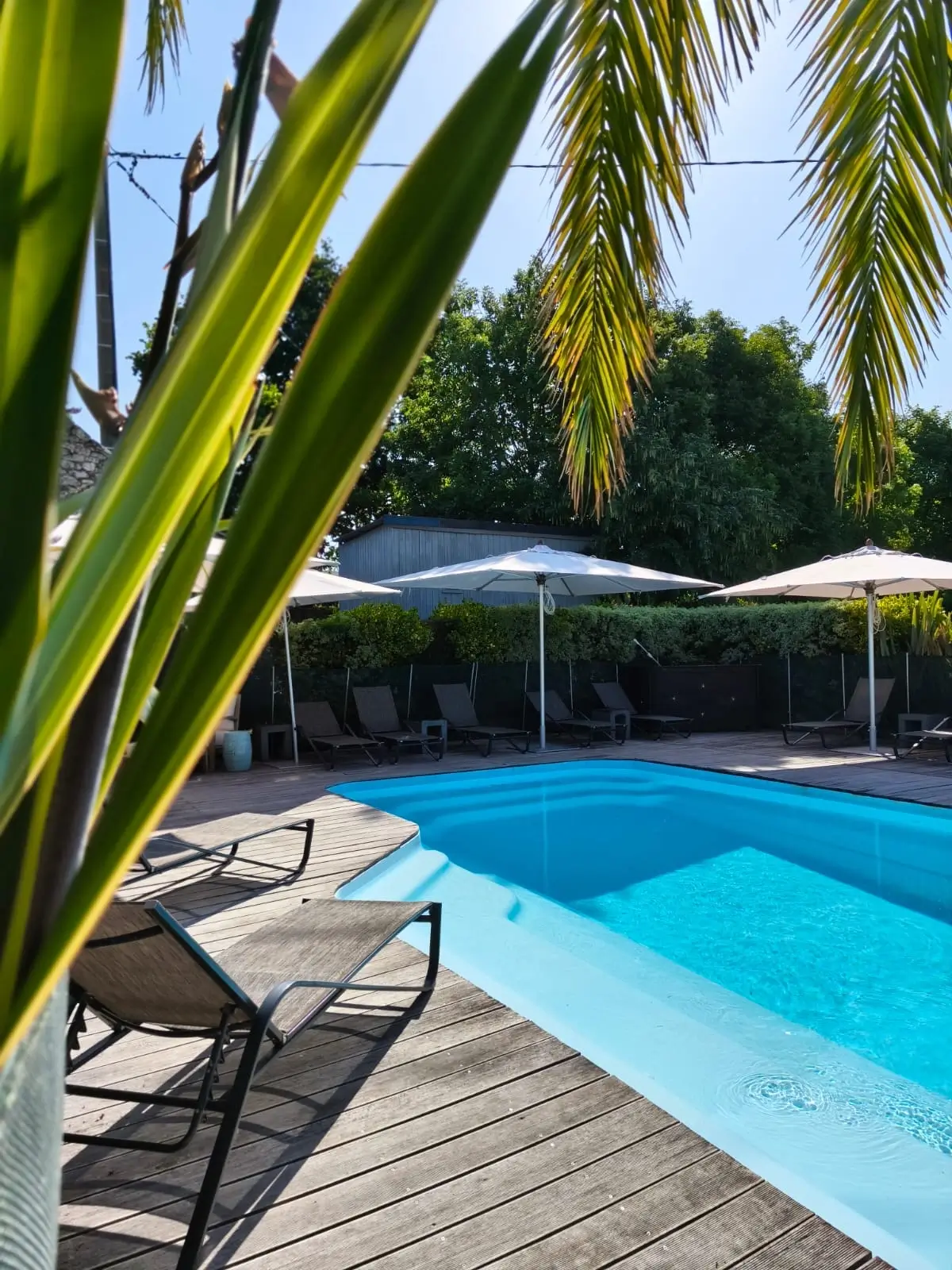 Piscine du Manoir des Douets Fleuris